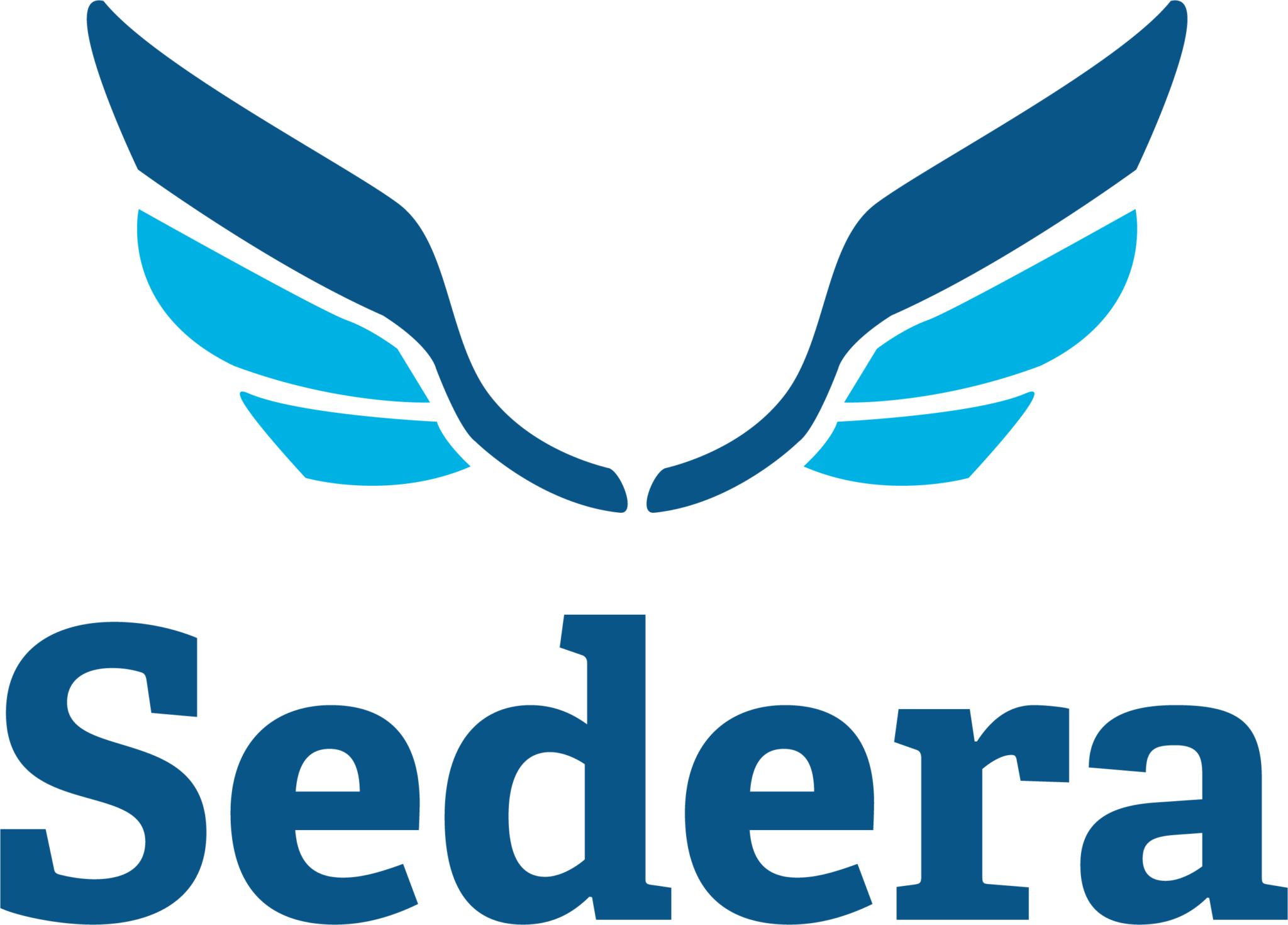 SederaBluesLogoVertical Legion Insurance Group